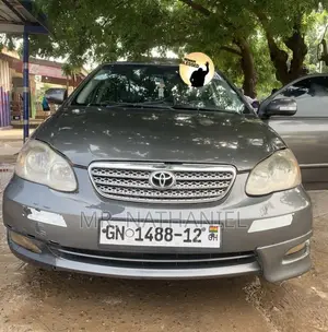 Toyota Corolla 2007 Gray
