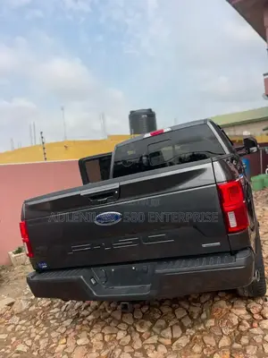 Ford F-150 2020 Gray