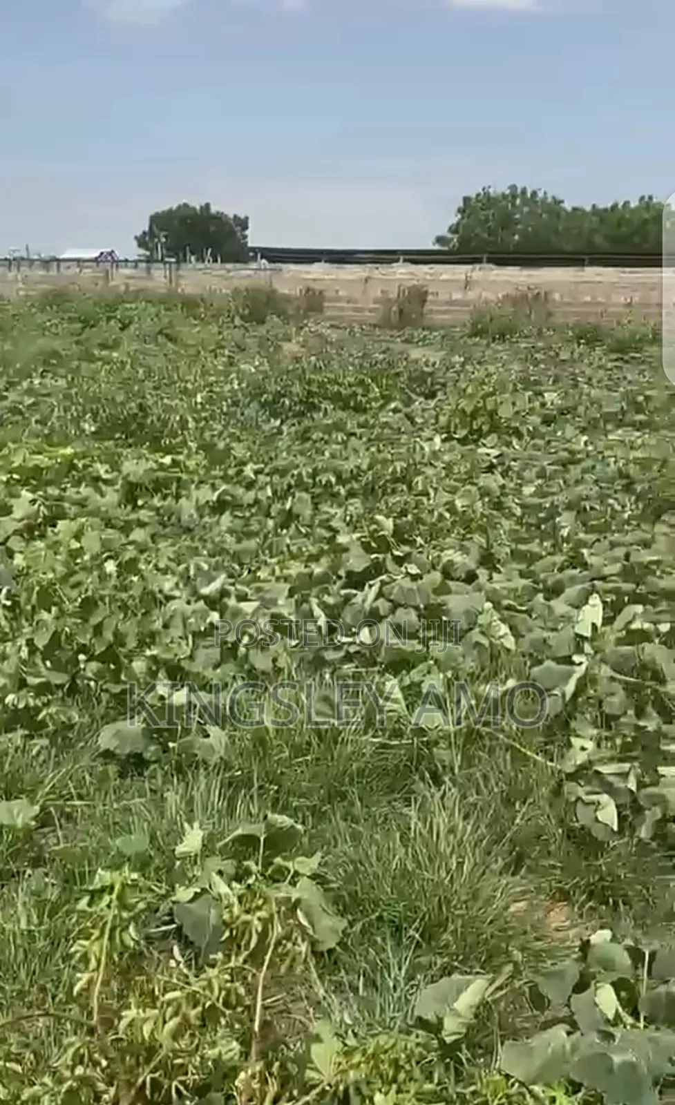 One Arce Plot of Land at Shai Hill