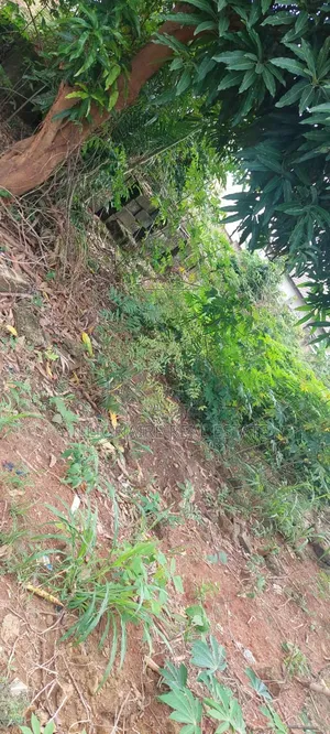 FI'll Plot for Sale Available at Atonsu Feyiase