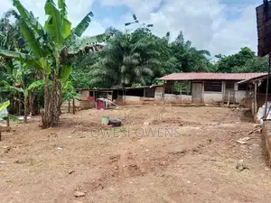 Farm Land for Sale