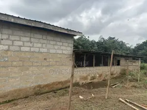 Farm Land for Sale