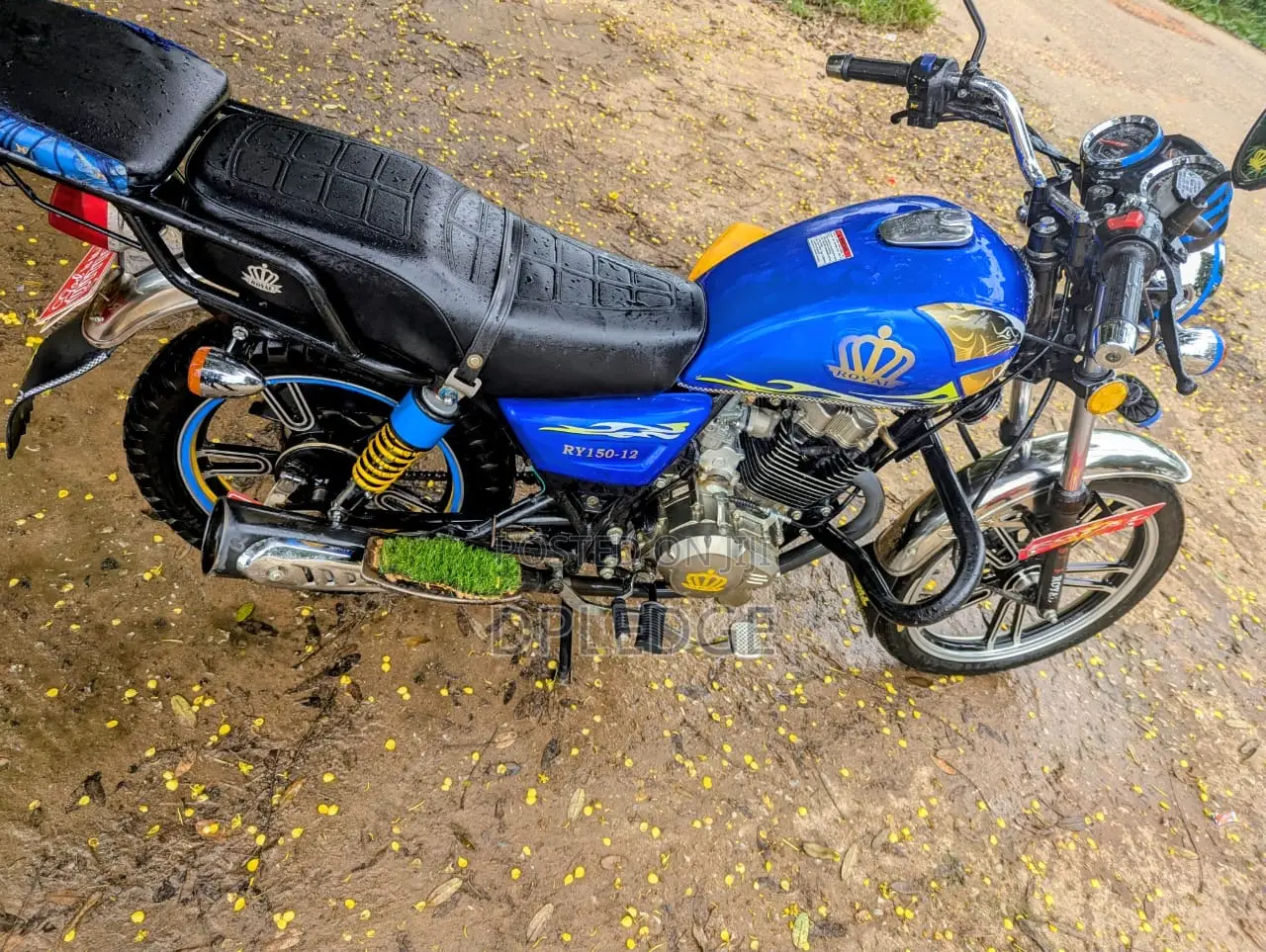 Royal RY150 2026 Blue
