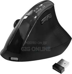Ergonomic Wireless Mouse