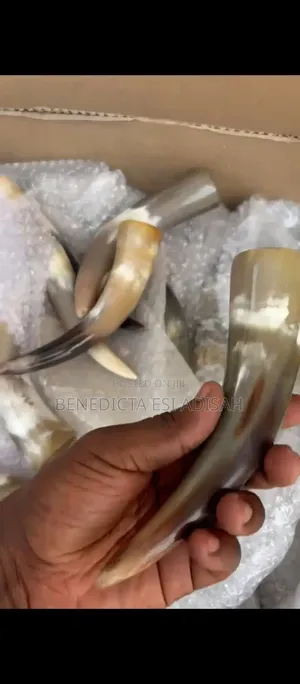 Authentic Anointing Horns