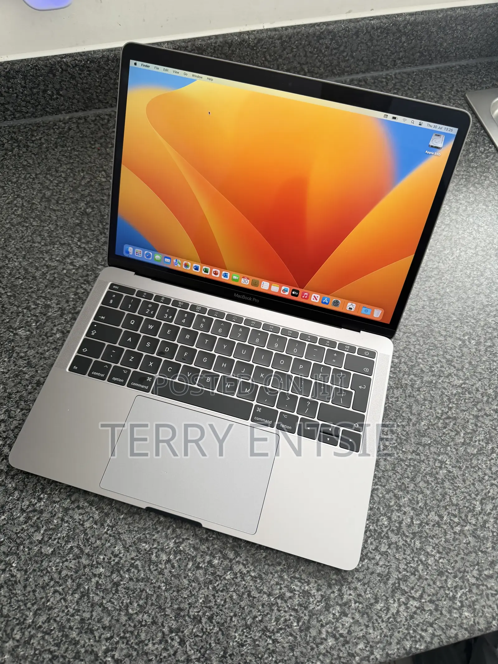 Laptop Apple MacBook Pro 2017 8GB Intel Core i5 SSD 128GB