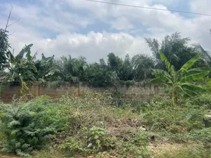 1 Plot of Land for Sale at Nmai Dzor