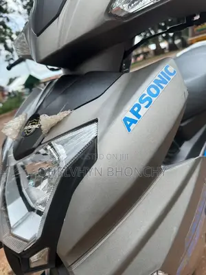 Apsonic AP110 2024 Gray