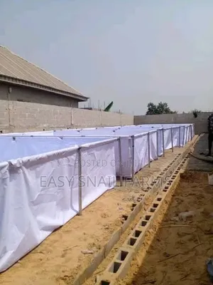 Catfish and Tilapia Farm Construction