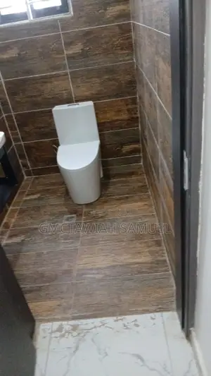 Plumber Number One