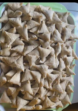 Fresh Spring Rolls and Samosa