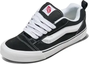 Old Skull Vans