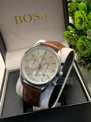 Hugo Boss Watch With Box