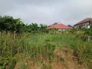 90*100 Full Plot of Land