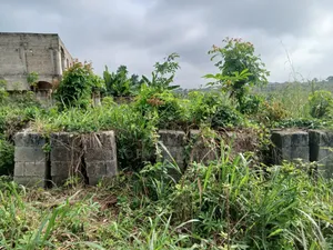 90*100 Full Plot of Land