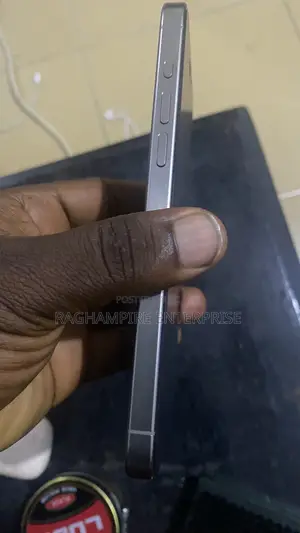 Apple iPhone 15 Pro Max 256 GB Gray