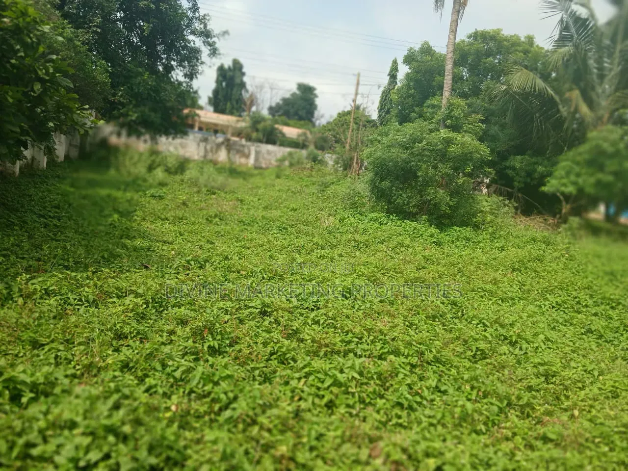 Plot on Tarred Road Near Main Roundabout, Dansoman, Accra