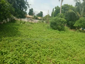 Plot on Tarred Road Near Main Roundabout, Dansoman, Accra