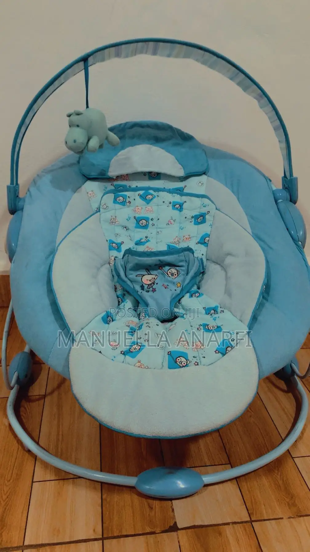Baby Bouncer
