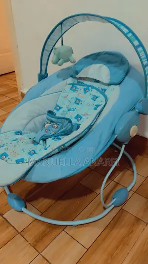 Baby Bouncer
