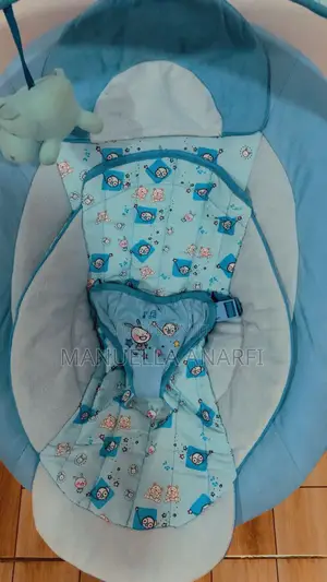 Baby Bouncer