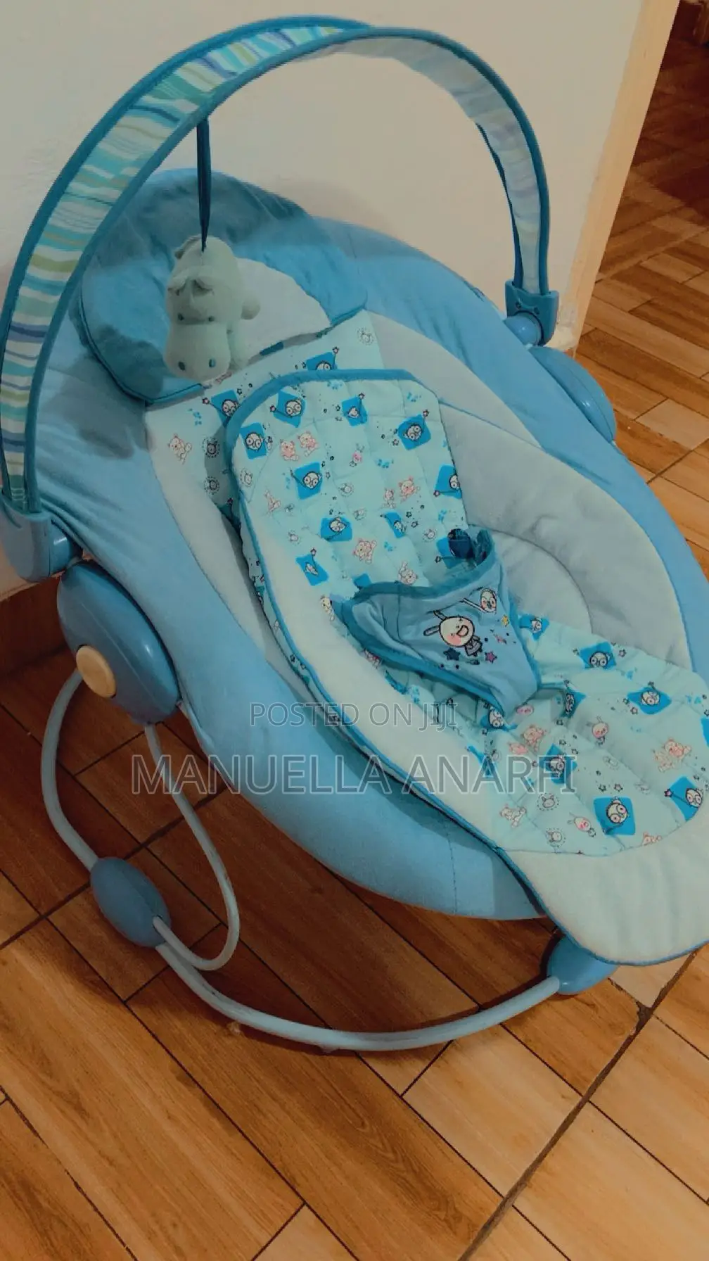 Baby Bouncer