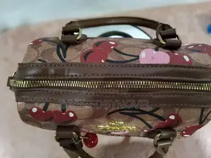 Coach Cherry Bag
