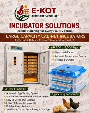 Egg Incubator