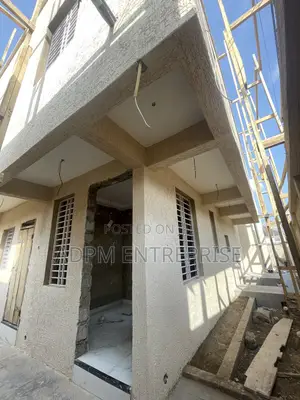 Grafitex Paint