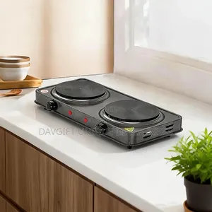 2in1 Electric Burner (Hot Plate)