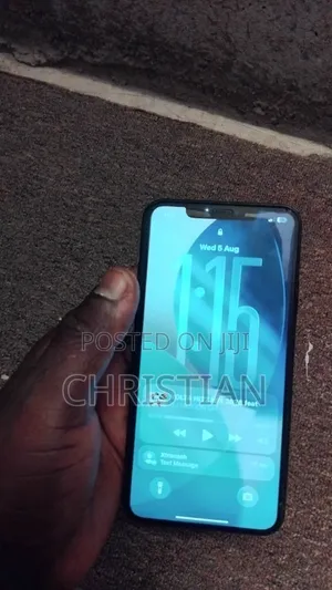 Apple iPhone 11 Pro Max 256 GB Gray