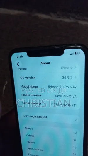 Apple iPhone 11 Pro Max 256 GB Gray