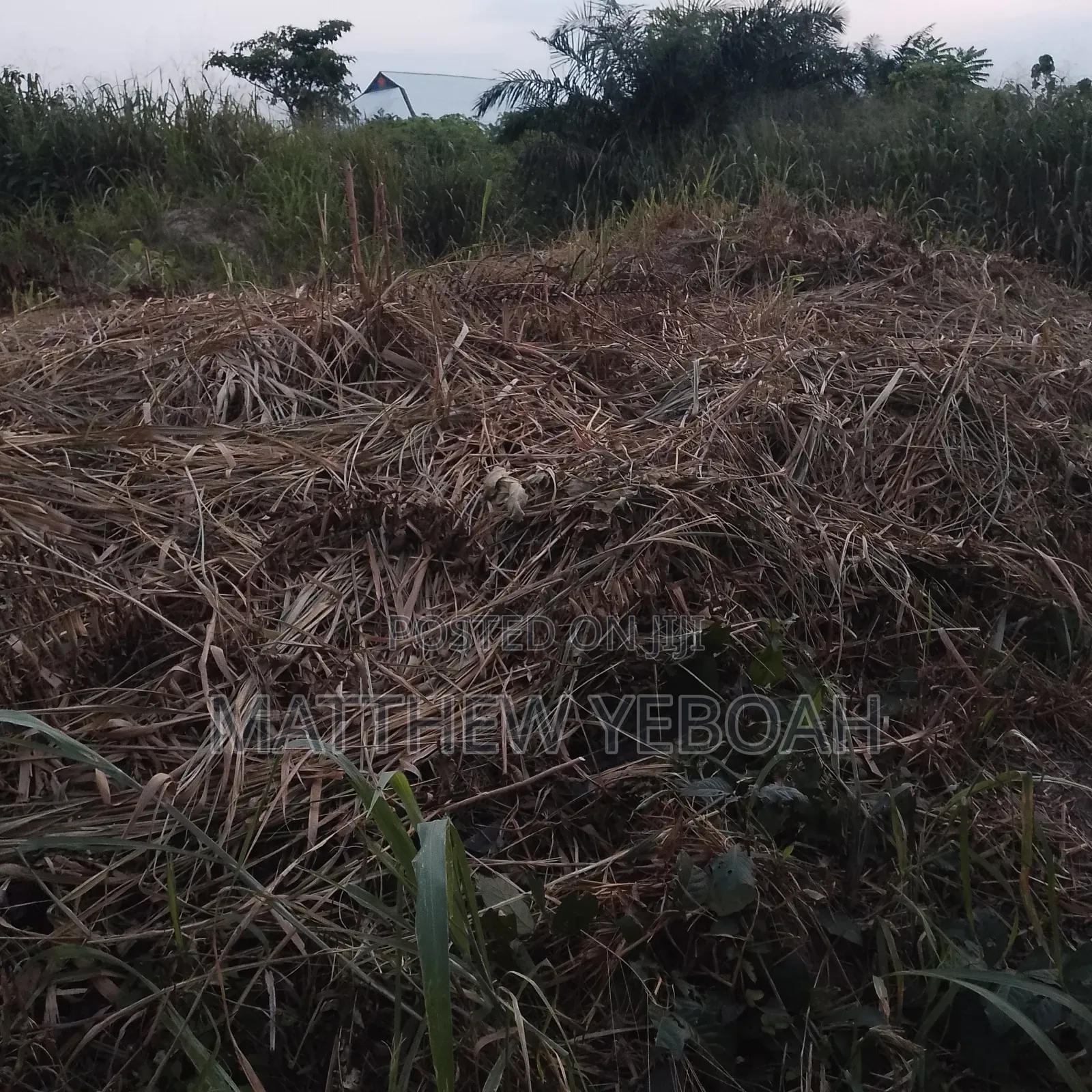 Land for Sale
