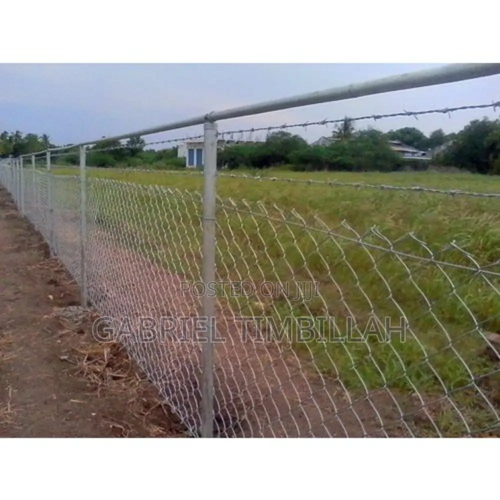 Chain Link