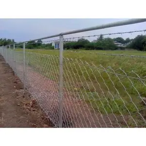 Chain Link