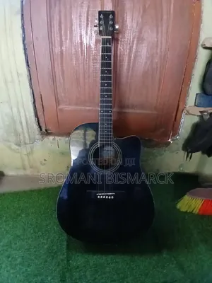 Semi Acoustic Guitar