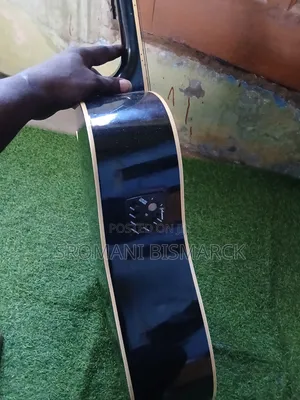 Semi Acoustic Guitar