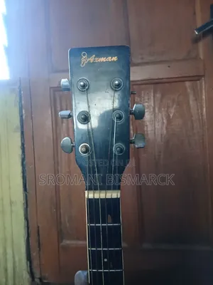 Semi Acoustic Guitar