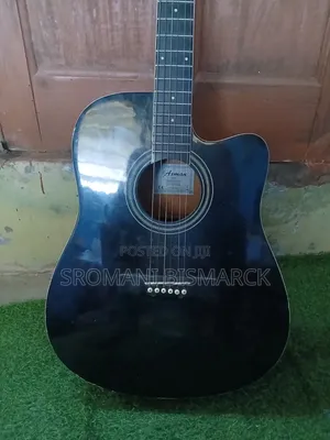 Semi Acoustic Guitar