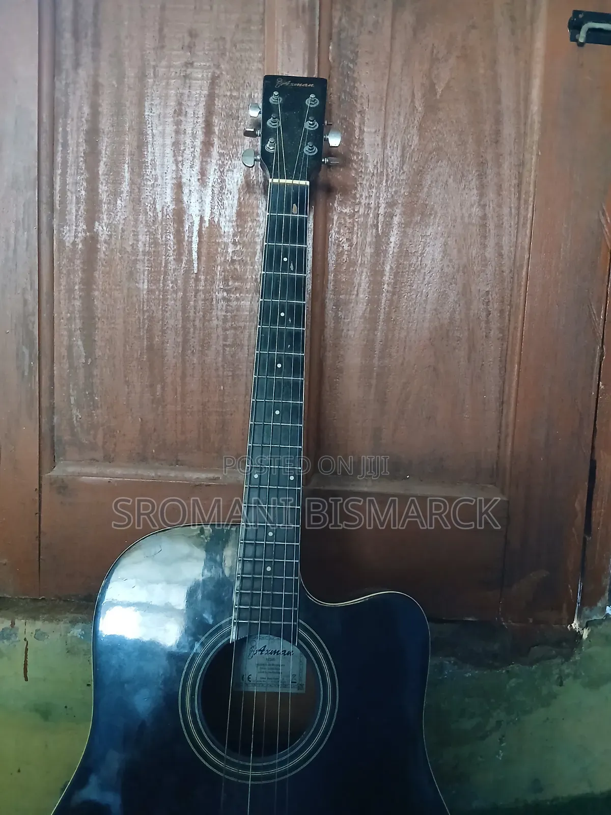 Semi Acoustic Guitar
