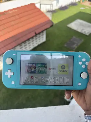 Nintendo Switch Lite
