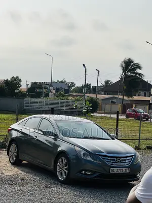 Hyundai Sonata 2013 Gray