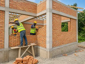 Natural Clay Bricks Walling Material