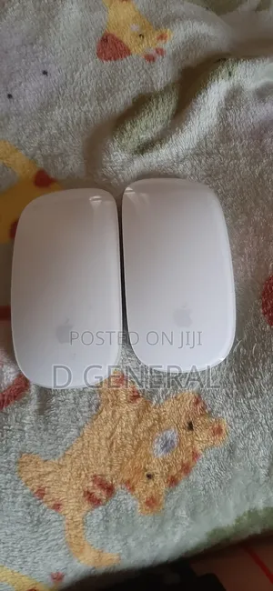 Magic Mouse 2 (Rechargeable)