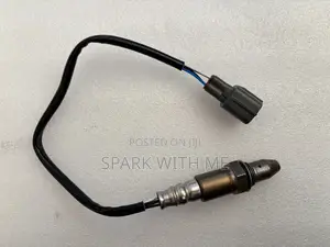Oxygen Sensor