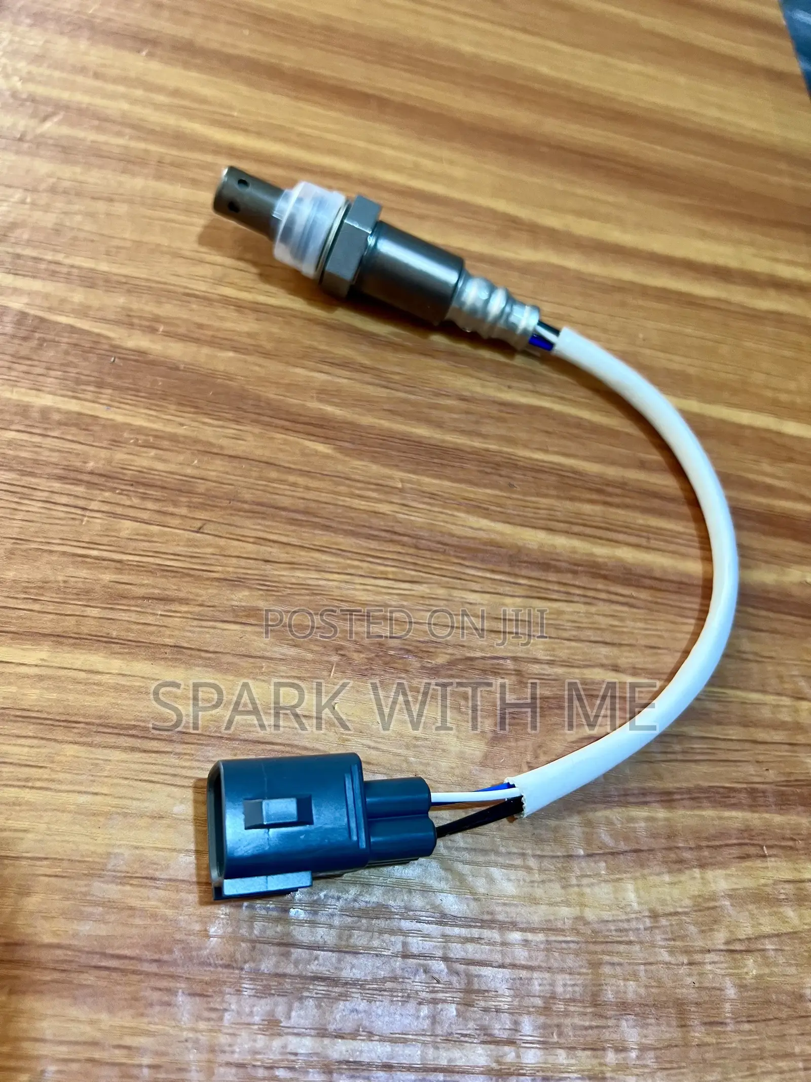 Oxygen Sensor