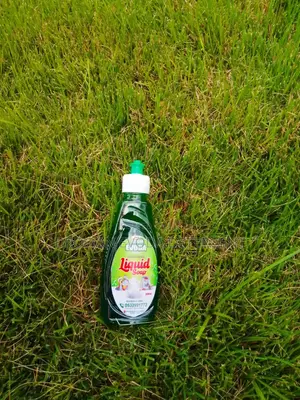 Liquid Soap Drogon Evoda Detergent