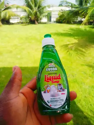 Liquid Soap Drogon Evoda Detergent