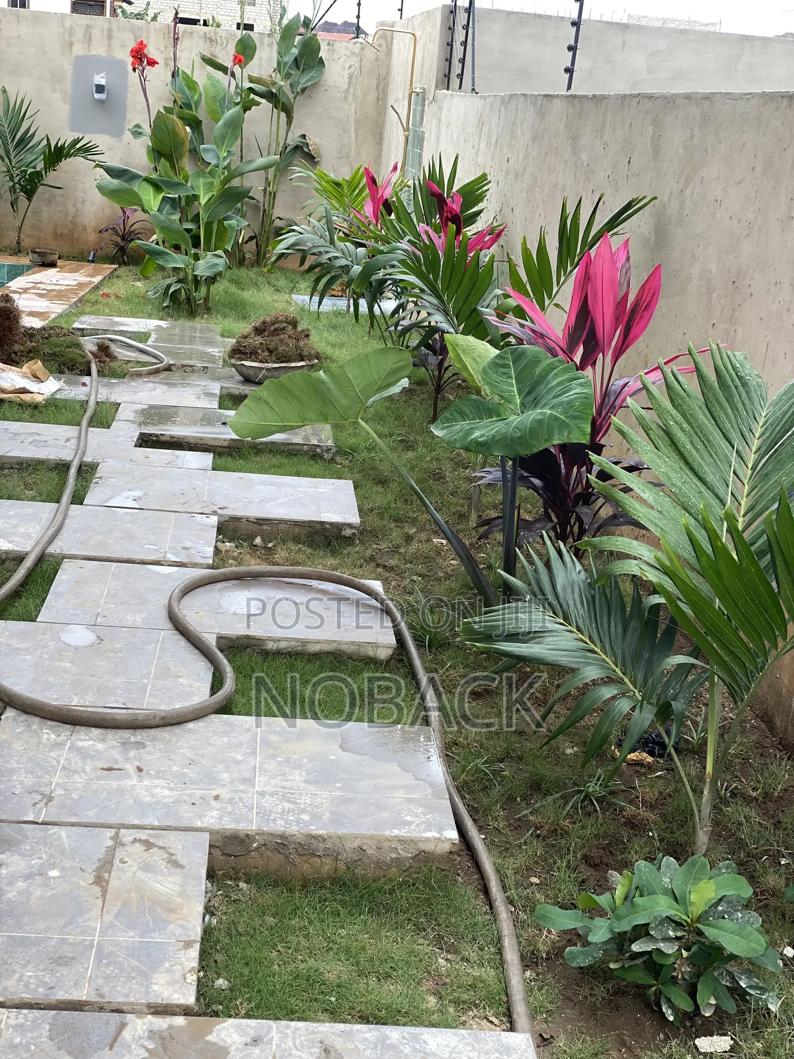Selling Flowers and Green Glass