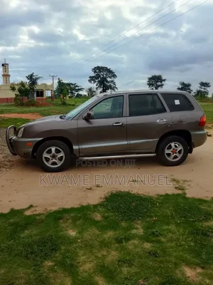 Hyundai Santa Fe 2005 Brown
